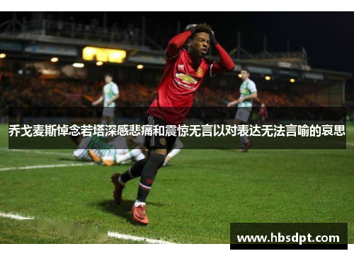 乔戈麦斯悼念若塔深感悲痛和震惊无言以对表达无法言喻的哀思