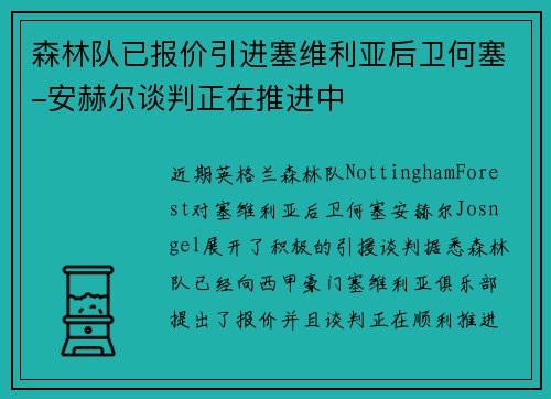 森林队已报价引进塞维利亚后卫何塞-安赫尔谈判正在推进中
